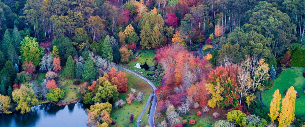 Adelaide Hills