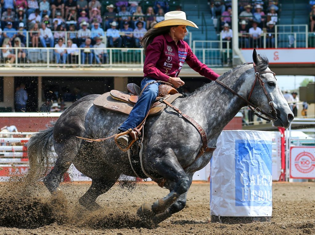 Verão no Canadá: Calgary Stampede, Calgary