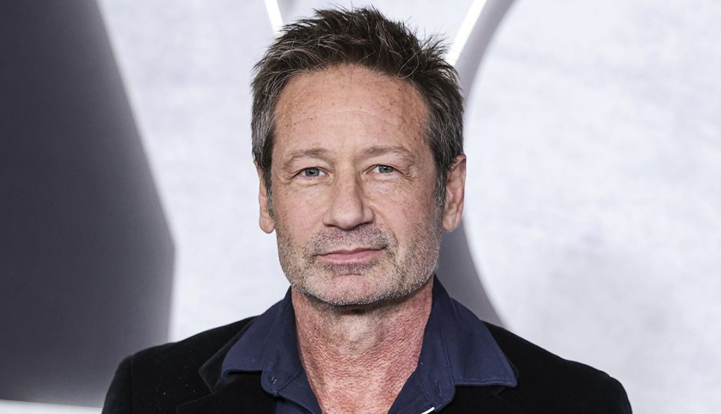 David Duchovny: ex-aluno da Universidade de Princeton